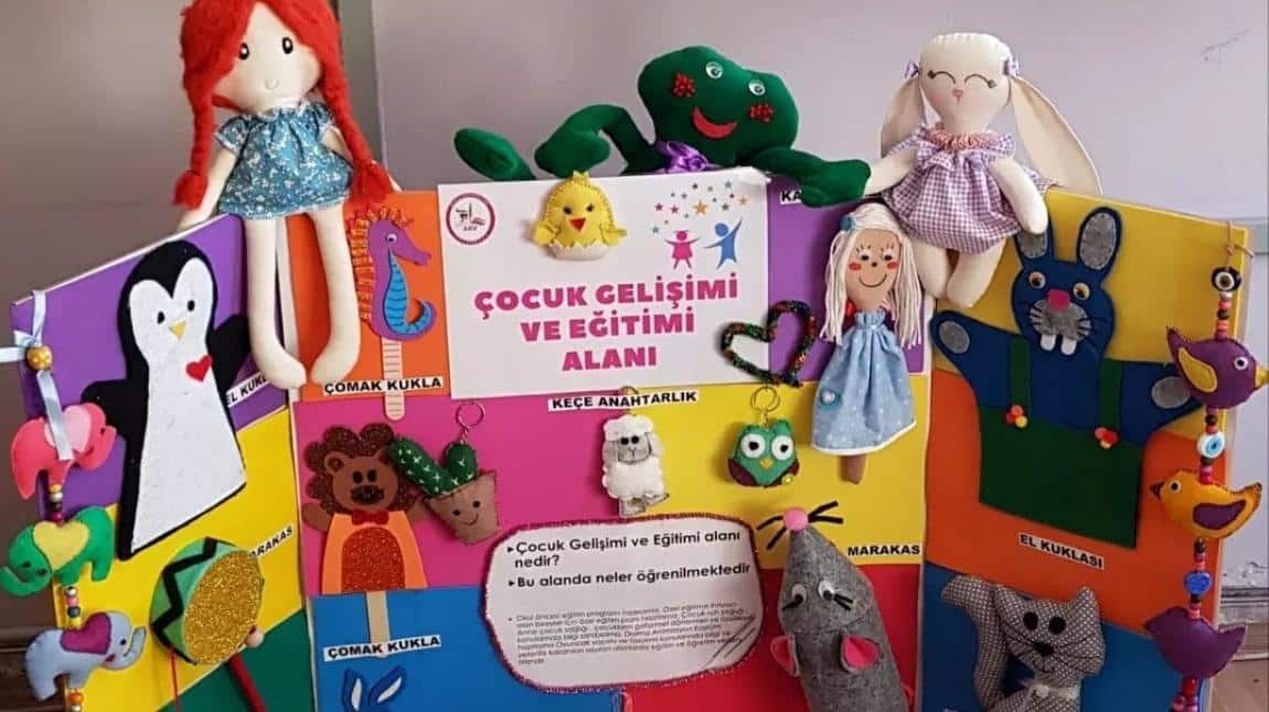 Çocuk Gelişimi ve Eğitimi Alanı